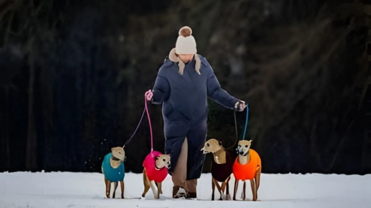 UK Cold Weather: How Long Will the Chill Last?